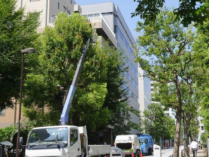 Paysagiste industriel Montréal