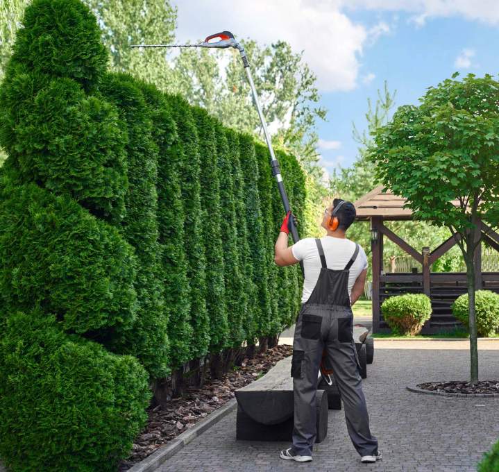 Full maintenance service for a pristine yard.