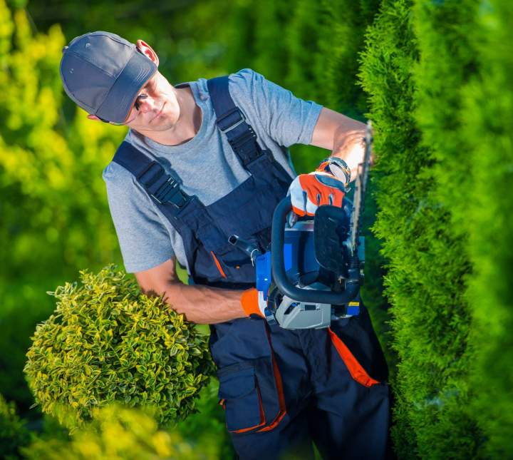 Professional landscape design for businesses.