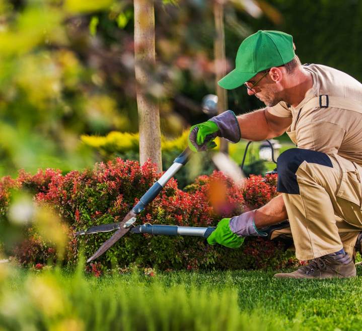 Entretien paysager industriel Montréal