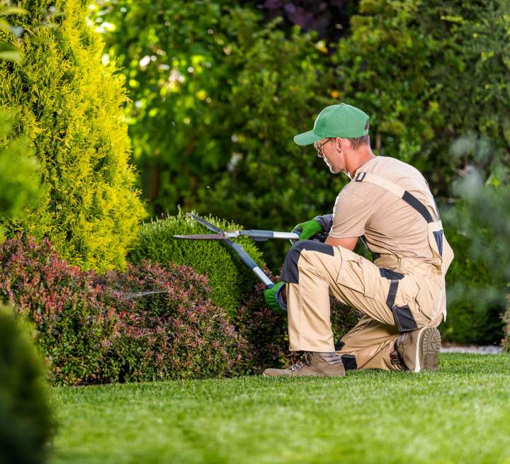 Entretien paysager institutionnel Montréal