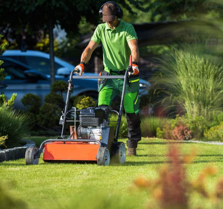 Tonte de pelouse Montréal