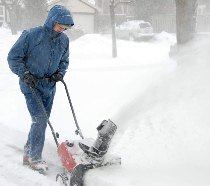Paysagiste pour commerce Montréal